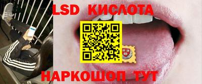 дживик Кандалакша
