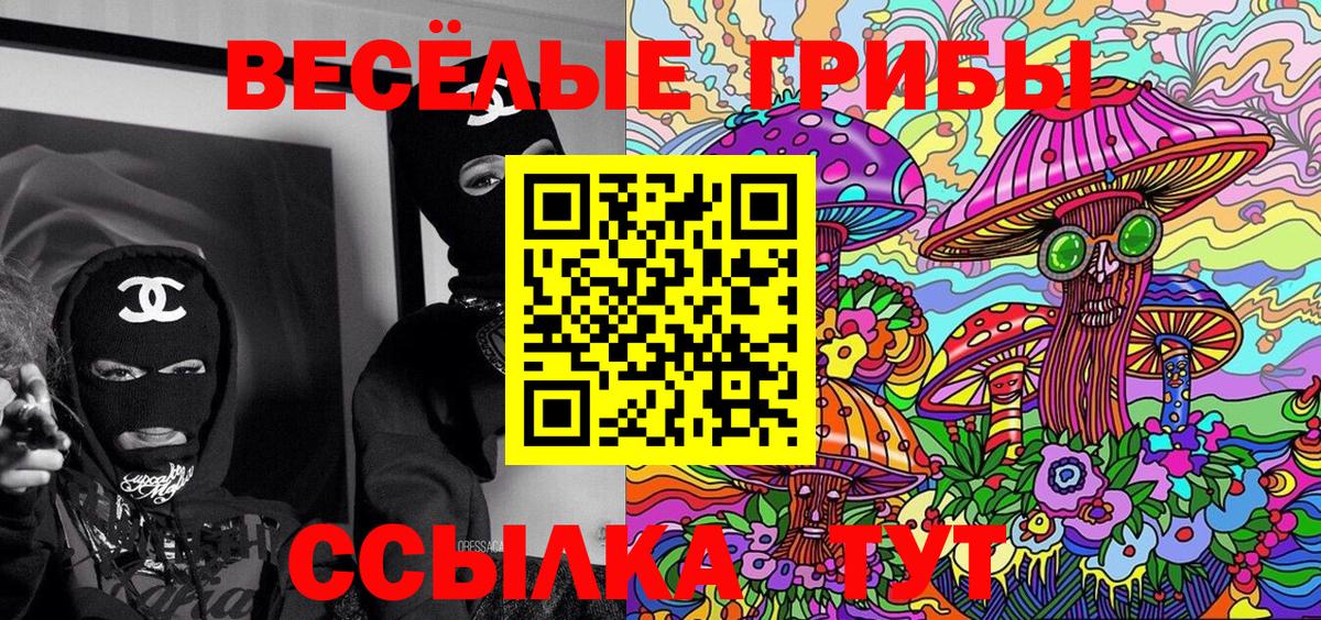 Псилоцибиновые грибы мицелий Краснознаменск