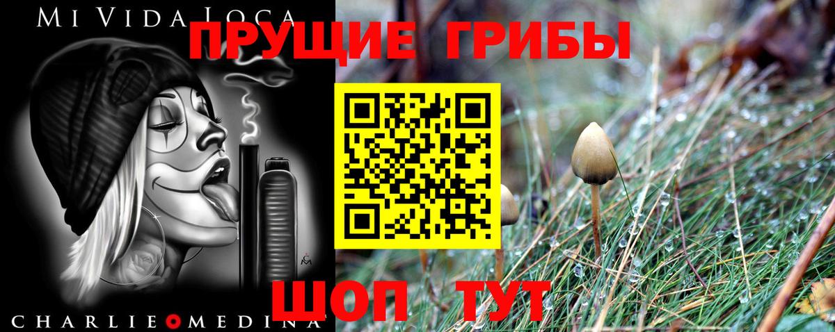 Псилоцибиновые грибы мицелий  Вход с VPN  Краснознаменск 